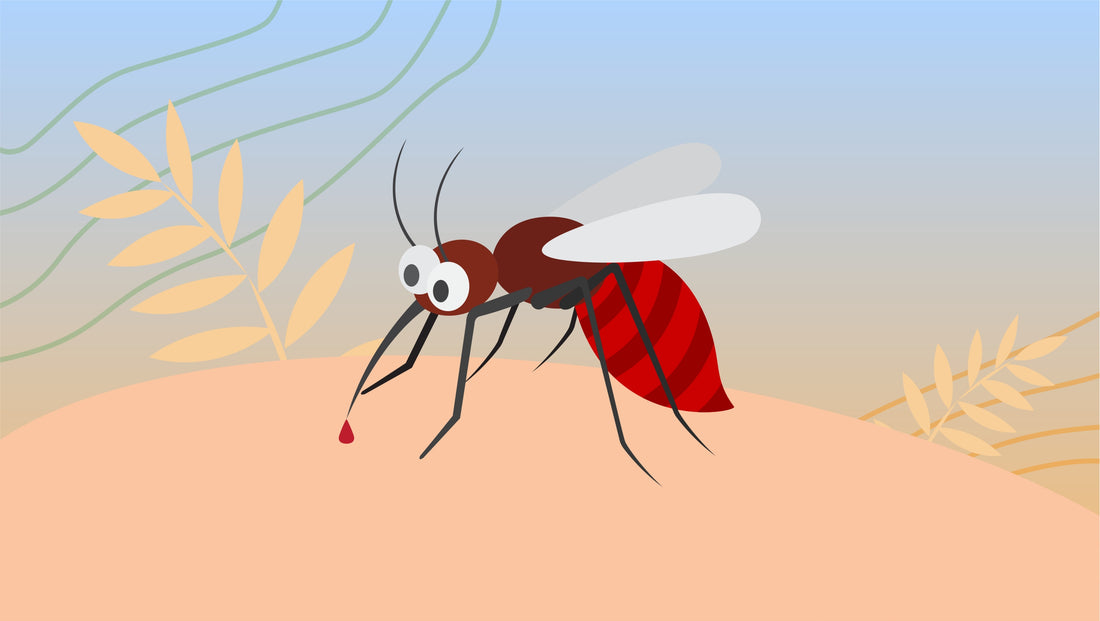 Mosquito Bites on Feet: Why Do Mosquitoes Love Our Feet and Ankles?