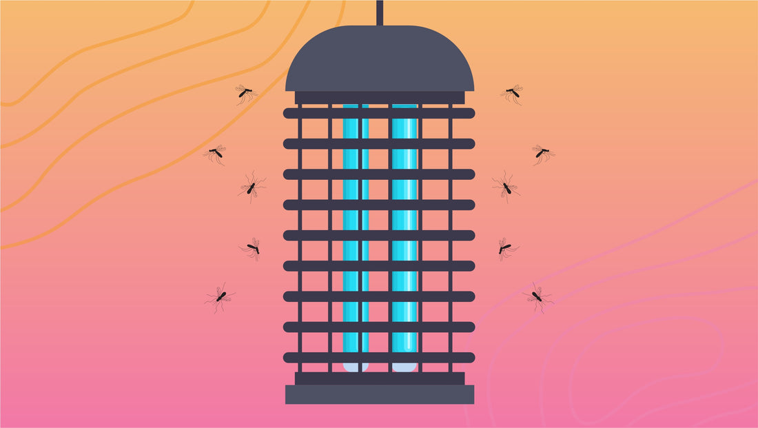 Mosquito Traps That Get the Job Done