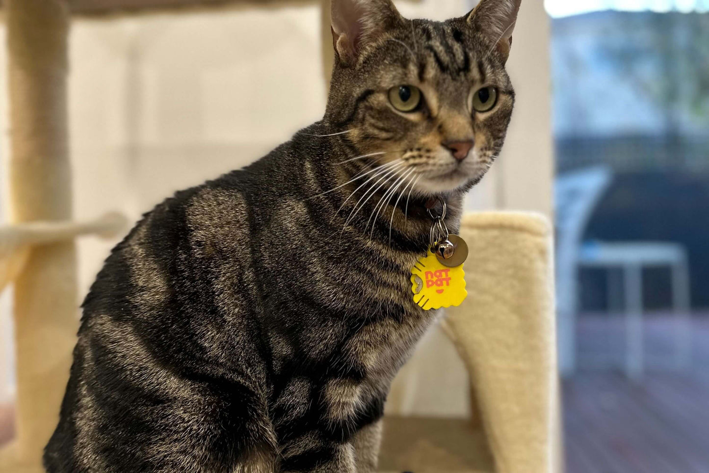 Cat Zen Stickers