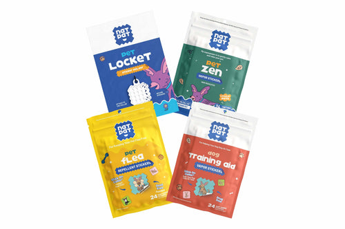 The Zen Dog Starter Kit